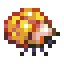 Acid Larva