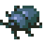 Blackbug