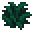 Bush