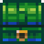 Chest