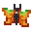 Citrus Pinion