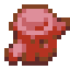 Coral Wood