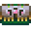 Druidra Chest