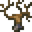 Dull Tree