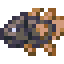 Elder Dragonfish