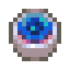Giant Squid Eye