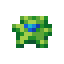 Glow Tulip Seed