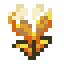 Golden Glow Tulip