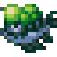 Green Blister Head