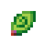 Heart Berry Seed