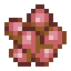 Hive Growth