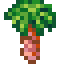 Kelp Tree