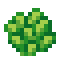 Land Algae