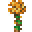 Large Gilded Aloe