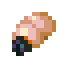 Larvlet