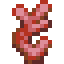 Lumen Coral