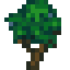 Lush Tree
