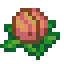 Oasis Flower Vessel