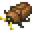 Pest Bug