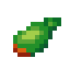 Pewpaya Seed