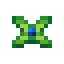 Pinegrapple Seed