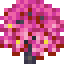 Pink Cherry Tree