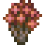 Plume Tree