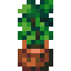 Potted Abyss Tree