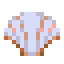 Sea Shell