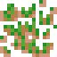 Small Desert Grass
