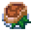 Steak