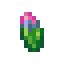 Sunrice Seed