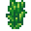 Tall Land Algae