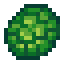 Turtle Shell