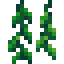 Wall Grass