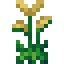 Water Reed