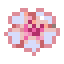 White Cherry Blossom