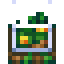 Wilderness Terrarium