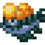Yellow Blister Head
